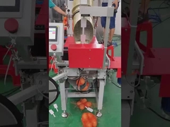 Automatic Fruit Vegetable Potato Onion Jelly Mesh Net Bags Bag Packing Machine