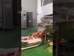 Electric Fruit and Vegetable Mesh Bag Packing Machine Net Clipping Machine With Holder