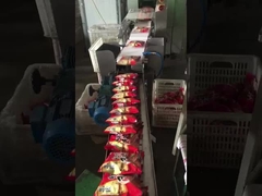 Food Industry Auto Weighing Machine Check Weigher Machine High Precision