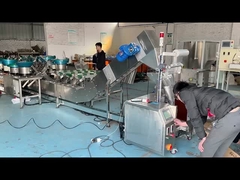 Intelligent Device For Sorting Counting And Packaging Screws And Nuts