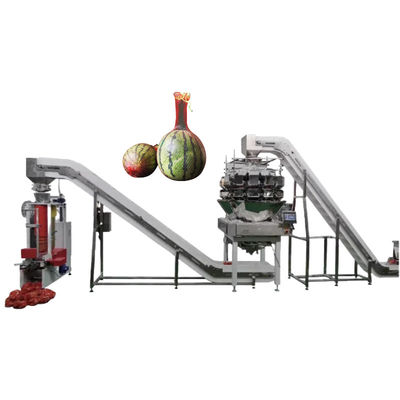 0.75kW Mesh Bag Packing Machine 1000-1500 zakken/uur Elektriciteit