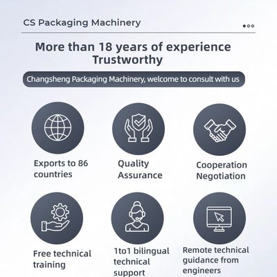 Easy To Operate High-Accuracy Multi Lane Packing Machine with Energy Saving Multi-row Powder Packaging